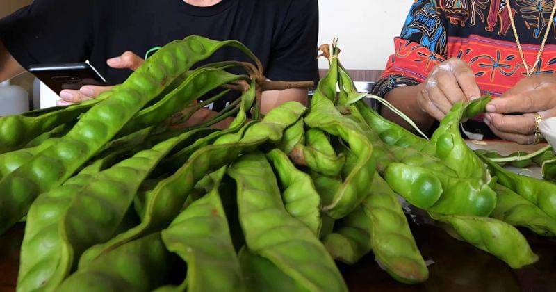 Youtube.com/BigOnSpiceMarkWiens